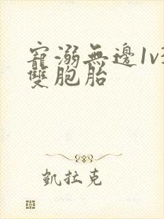 宠溺无边1v3双胞胎