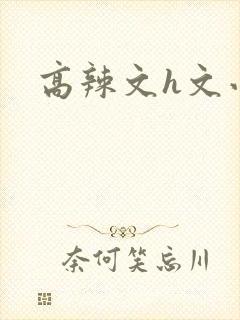 高辣文h文小说封面