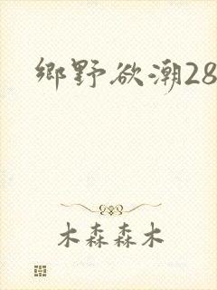 乡野欲潮28章