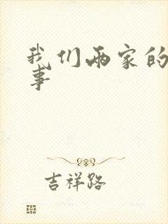 我们两家的荒唐事封面