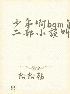 少年啊bgm第二部小说叫什么封面
