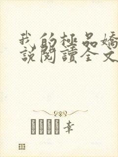 我的极品娇妻小说阅读全文