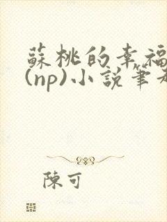 苏桃的幸福生活(np)小说笔趣阁沐沐