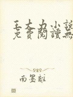 王大力小说小说免费阅读无弹窗