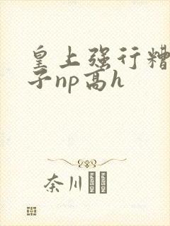 皇上强行糟蹋太子np高h