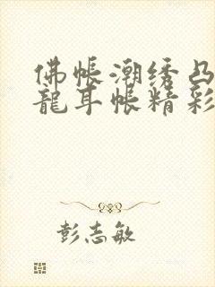 佛帐潮绣凸浮双龙耳帐精彩片段封面