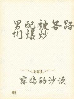 男配被各路大佬们爆炒