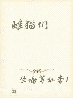 雌猫们