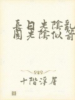 长日光阴乱作一团光阴似箭眇眇翟封面