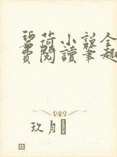 碧荷小说全文免费阅读笔趣阁封面