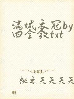 满城衣冠by十四金钗txt封面