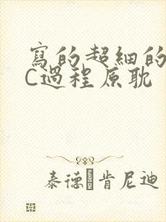 写的超细的多肉C过程原耽