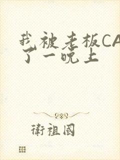 我被老板CAO了一晚上