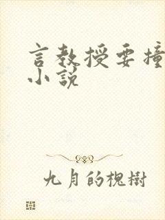 言教授要撞坏了小说