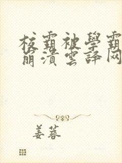 校霸被学霸玩到崩溃云译网封面