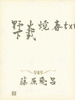 野火烧春txt下载
