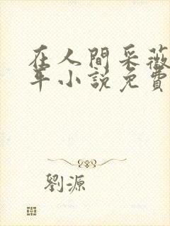 在人间采薇陆三平小说免费阅读