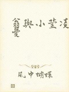 翁与小莹凌晨欢爱