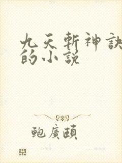 九天斩神诀林辰的小说