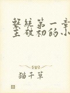 系统第一章给宿主破初的小说