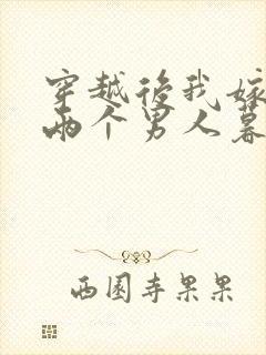 穿越后我嫁给了两个男人暮色酒歌封面