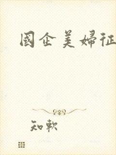 国企美妇征途