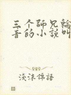 三个师兄轮流上音的小说叫什么