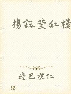 杨钰莹红楼封面