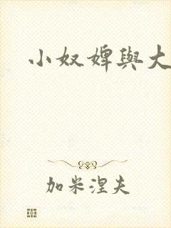 小奴婢与大少爷