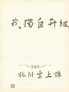 我独自升级漫画