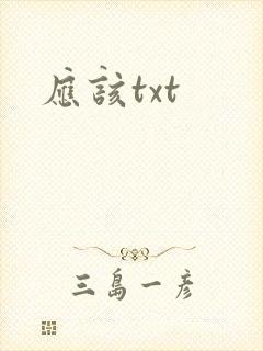 应该txt