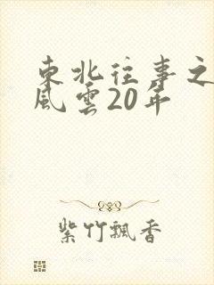 东北往事之黑道风云20年