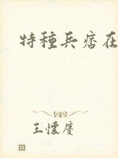 特种兵痞在都市封面
