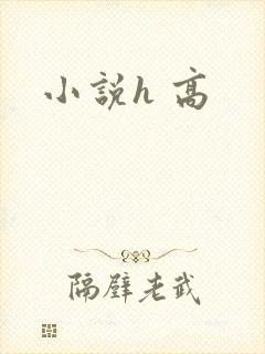 小说h 高