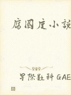 腐国度小说