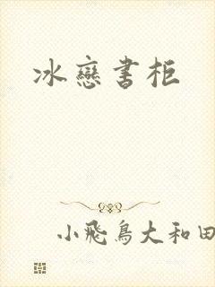 冰恋书柜