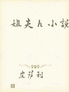 姐夫 h 小说封面