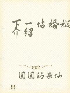 下一站婚姻剧情介绍