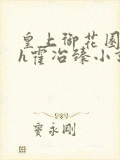 皇上御花园hlh霍冶臻小说