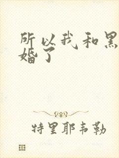 所以我和黑粉结婚了