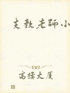 支教老师小说封面