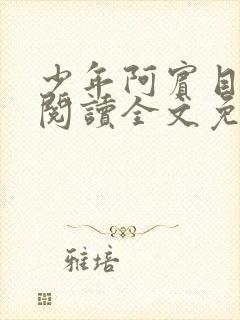 少年阿宾目录线阅读全文免费阅读