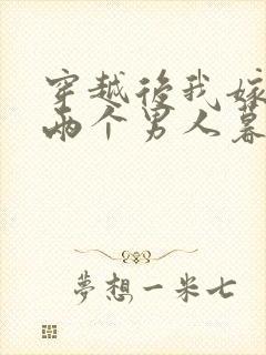 穿越后我嫁给了两个男人暮色酒歌