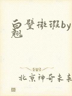 白璧微瑕by连翘封面