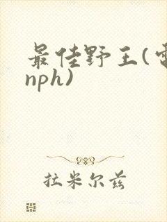 最佳野王(电竞nph)封面