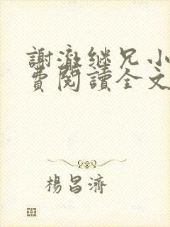 谢澈继兄小说免费阅读全文无弹窗封面