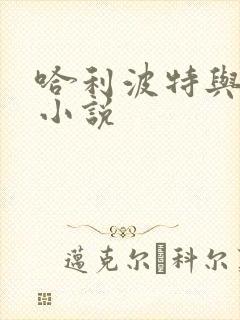 哈利波特与密室小说封面