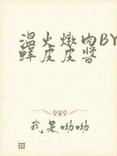 温火炖肉BY海鲜皮皮酱封面