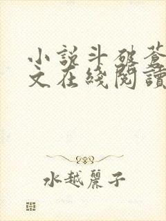 小说斗破苍穹全文在线阅读