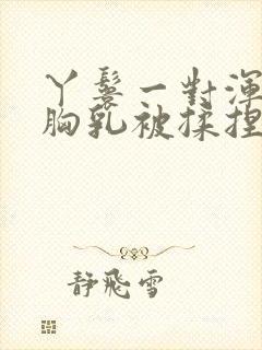 丫鬟一对浑圆的胸乳被揉捏小说